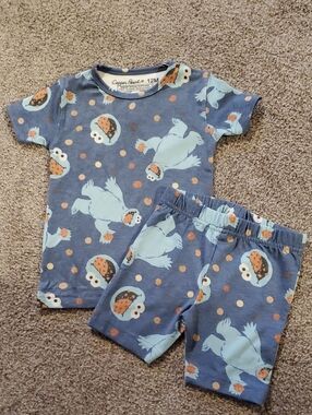 Copper Pear Cookie Monster PJ Set Size 12 Months